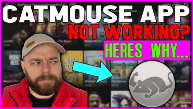 CATMOUSE APP NOT WORKING? | Another streaming app shutdown.....