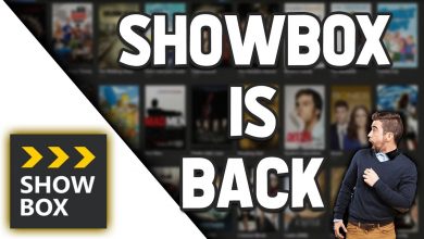 SHOWBOX IS BACK - Working Showbox update 2021???