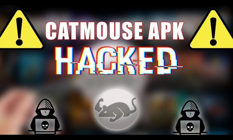 WARNING - CATMOUSE APK HACKED!!! Here is the TRUTH..........