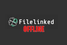 Filelinked not working - code not found