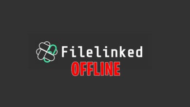 Filelinked not working - code not found