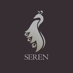 Seren Addon 2.0 Kodi 19